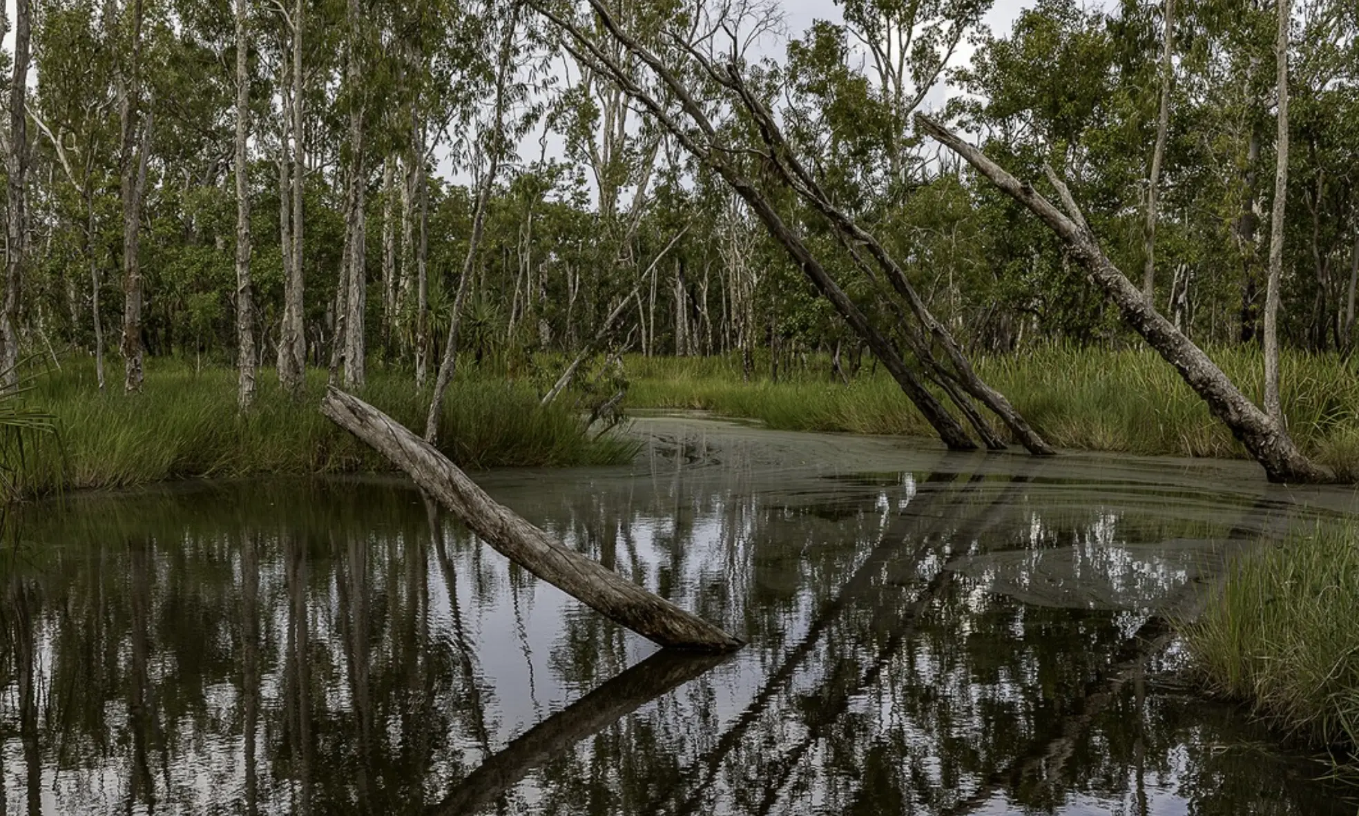 Kakadu National Park