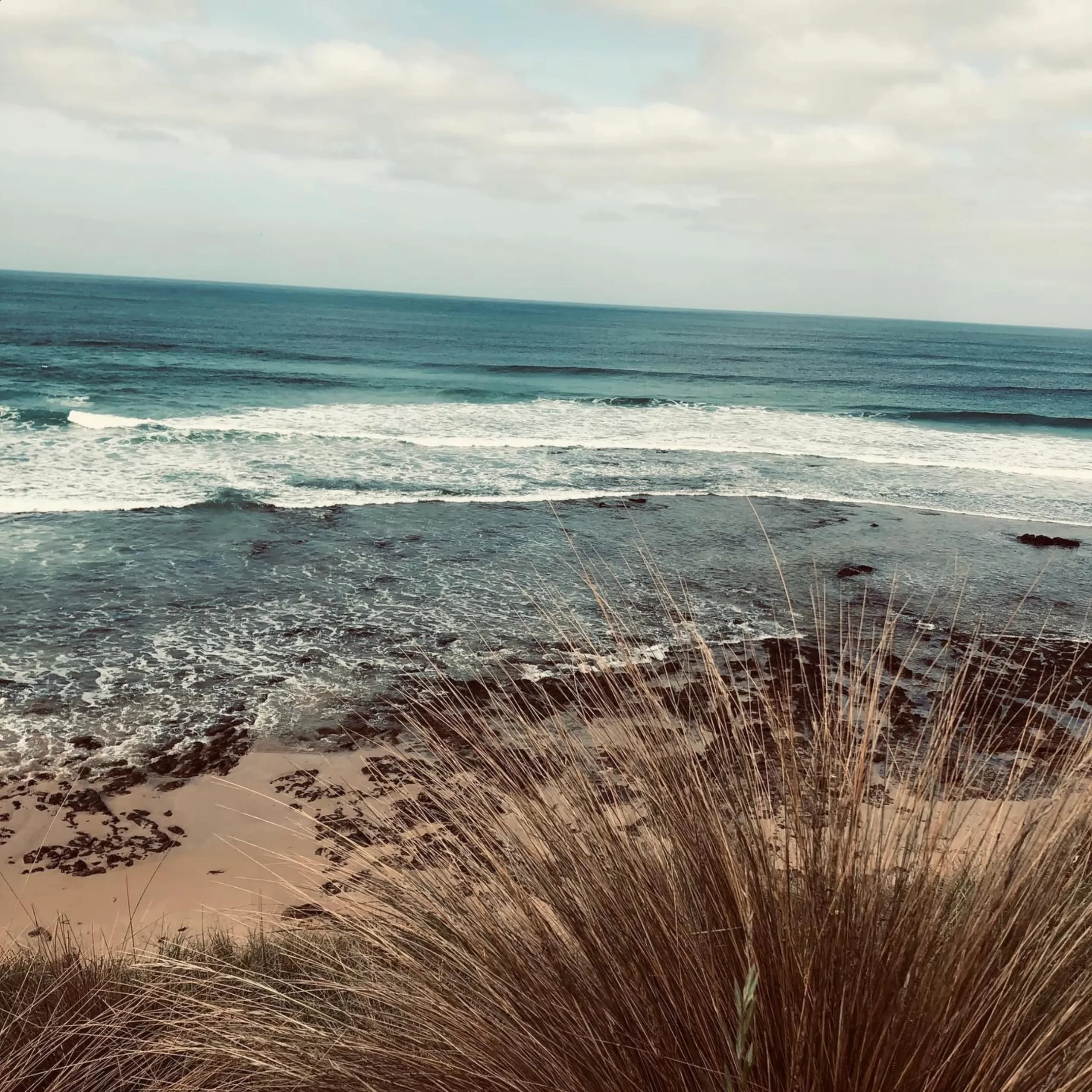 penguin tour Phillip Island